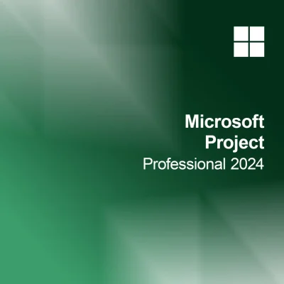 Microsoft Project Professional 2024 software interface for project management