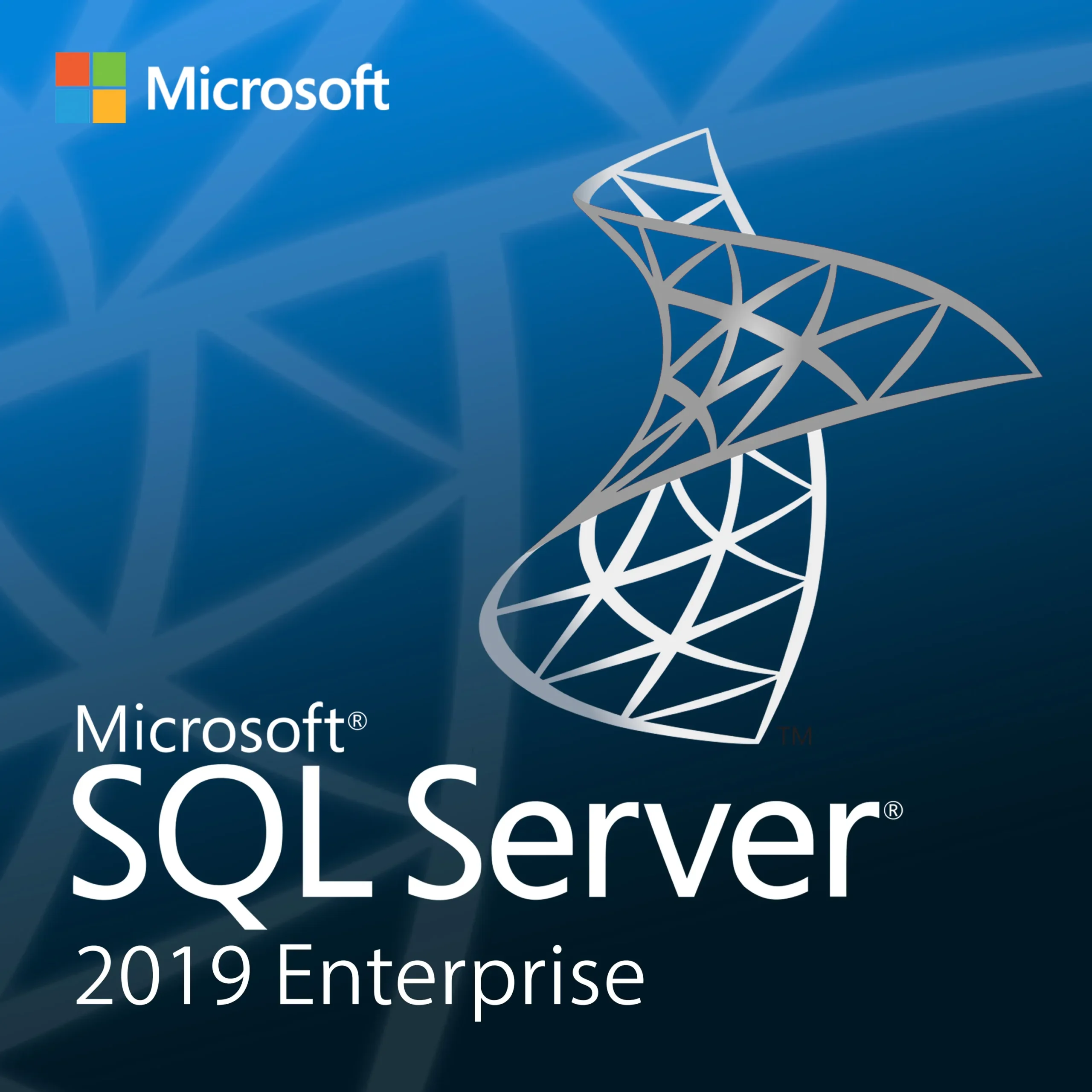 SQL Server 2019 Enterprise {"alt":"SQL Server 2019 Enterprise database software"}