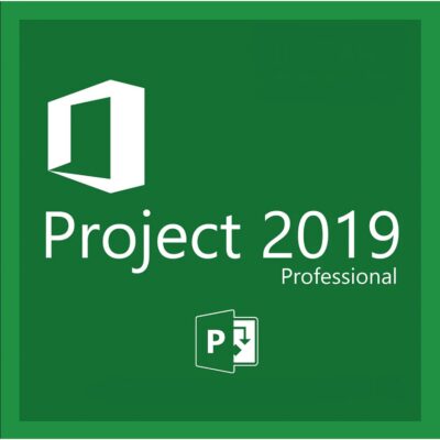 {"alt":"Microsoft Project 2019 Professional software interface"}