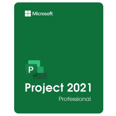 Microsoft Project 2021 Professional software interface