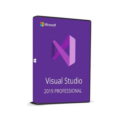 Visual Studio 2019 Professional interface on a computer screen