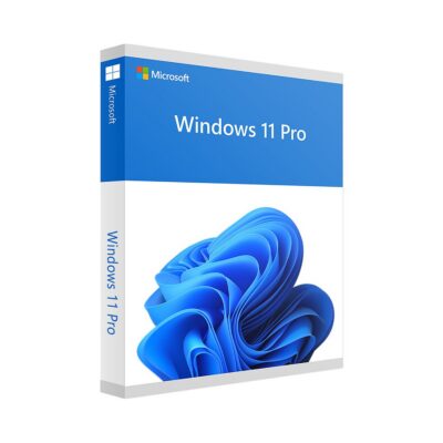 Windows 11 Pro desktop interface on laptop screen
