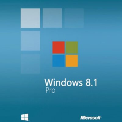 Windows 8.1 Pro operating system desktop interface